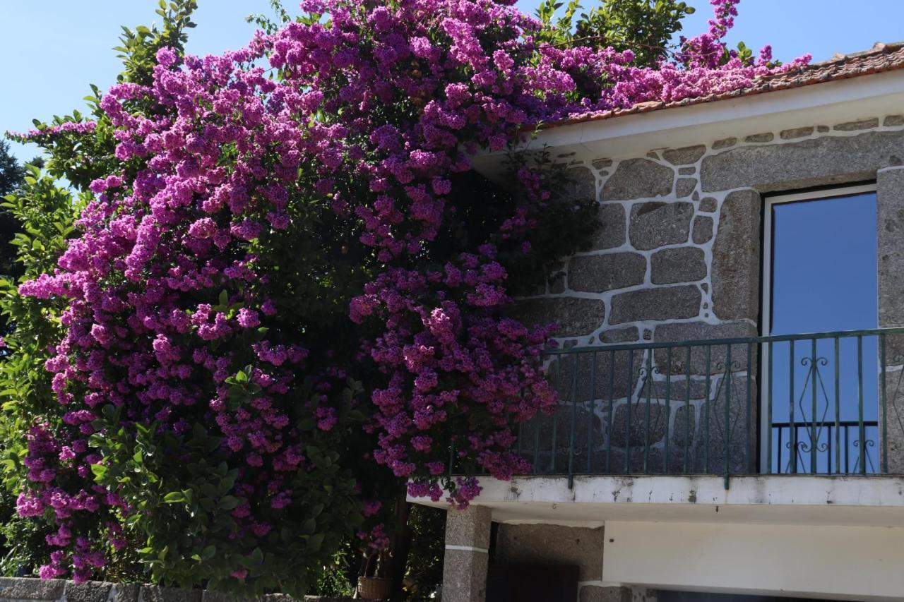 Ich Inveja Country House Pacos de Ferreira Ngoại thất bức ảnh